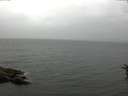 ./images/koeye/fitz-hugh/20160621/fitz-hugh20160621_122103.jpg