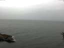 ./images/koeye/fitz-hugh/20160621/fitz-hugh20160621_122402.jpg