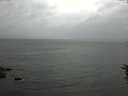 ./images/koeye/fitz-hugh/20160621/fitz-hugh20160621_140003.jpg