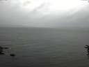 ./images/koeye/fitz-hugh/20160621/fitz-hugh20160621_140301.jpg