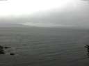 ./images/koeye/fitz-hugh/20160621/fitz-hugh20160621_160003.jpg