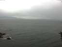 ./images/koeye/fitz-hugh/20160621/fitz-hugh20160621_160302.jpg