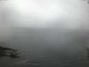 ./images/koeye/fitz-hugh/20160622/fitz-hugh20160622_050301.jpg