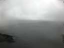 ./images/koeye/fitz-hugh/20160622/fitz-hugh20160622_053302.jpg