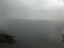 ./images/koeye/fitz-hugh/20160622/fitz-hugh20160622_060005.jpg