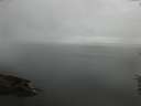 ./images/koeye/fitz-hugh/20160622/fitz-hugh20160622_060301.jpg