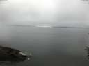 ./images/koeye/fitz-hugh/20160622/fitz-hugh20160622_063302.jpg