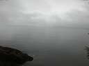 ./images/koeye/fitz-hugh/20160622/fitz-hugh20160622_080006.jpg