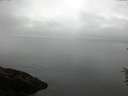 ./images/koeye/fitz-hugh/20160622/fitz-hugh20160622_080301.jpg