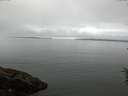 ./images/koeye/fitz-hugh/20160622/fitz-hugh20160622_083302.jpg