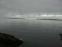 ./images/koeye/fitz-hugh/20160622/fitz-hugh20160622_090303.jpg