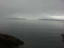 ./images/koeye/fitz-hugh/20160622/fitz-hugh20160622_093303.jpg
