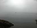 ./images/koeye/fitz-hugh/20160622/fitz-hugh20160622_100006.jpg