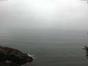 ./images/koeye/fitz-hugh/20160622/fitz-hugh20160622_100303.jpg