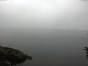 ./images/koeye/fitz-hugh/20160622/fitz-hugh20160622_110302.jpg