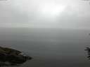 ./images/koeye/fitz-hugh/20160622/fitz-hugh20160622_113302.jpg