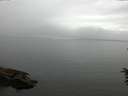 ./images/koeye/fitz-hugh/20160622/fitz-hugh20160622_120005.jpg