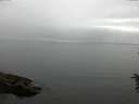 ./images/koeye/fitz-hugh/20160622/fitz-hugh20160622_120303.jpg