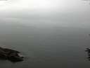 ./images/koeye/fitz-hugh/20160622/fitz-hugh20160622_122403.jpg
