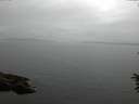 ./images/koeye/fitz-hugh/20160622/fitz-hugh20160622_123301.jpg