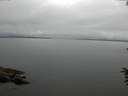 ./images/koeye/fitz-hugh/20160622/fitz-hugh20160622_130302.jpg