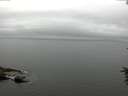 ./images/koeye/fitz-hugh/20160622/fitz-hugh20160622_133301.jpg
