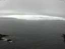 ./images/koeye/fitz-hugh/20160622/fitz-hugh20160622_140301.jpg