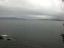 ./images/koeye/fitz-hugh/20160622/fitz-hugh20160622_143302.jpg