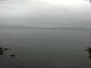 ./images/koeye/fitz-hugh/20160622/fitz-hugh20160622_150301.jpg