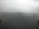 ./images/koeye/fitz-hugh/20160622/fitz-hugh20160622_153302.jpg