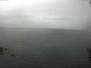 ./images/koeye/fitz-hugh/20160622/fitz-hugh20160622_160003.jpg