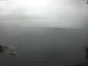 ./images/koeye/fitz-hugh/20160622/fitz-hugh20160622_160302.jpg