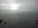 ./images/koeye/fitz-hugh/20160622/fitz-hugh20160622_163302.jpg