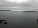 ./images/koeye/fitz-hugh/20160623/fitz-hugh20160623_053302.jpg