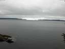 ./images/koeye/fitz-hugh/20160623/fitz-hugh20160623_060004.jpg