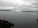 ./images/koeye/fitz-hugh/20160623/fitz-hugh20160623_093302.jpg