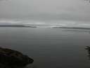 ./images/koeye/fitz-hugh/20160623/fitz-hugh20160623_100006.jpg