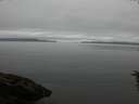 ./images/koeye/fitz-hugh/20160623/fitz-hugh20160623_100303.jpg