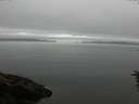 ./images/koeye/fitz-hugh/20160623/fitz-hugh20160623_103302.jpg