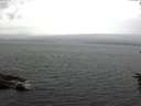 ./images/koeye/fitz-hugh/20160623/fitz-hugh20160623_140002.jpg
