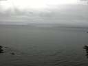 ./images/koeye/fitz-hugh/20160623/fitz-hugh20160623_160003.jpg