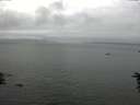 ./images/koeye/fitz-hugh/20160623/fitz-hugh20160623_160301.jpg