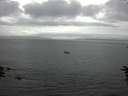 ./images/koeye/fitz-hugh/20160623/fitz-hugh20160623_163301.jpg