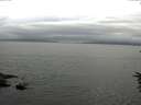 ./images/koeye/fitz-hugh/20160623/fitz-hugh20160623_180003.jpg