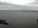 ./images/koeye/fitz-hugh/20160624/fitz-hugh20160624_063301.jpg