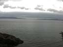 ./images/koeye/fitz-hugh/20160624/fitz-hugh20160624_113302.jpg