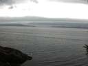 ./images/koeye/fitz-hugh/20160624/fitz-hugh20160624_120303.jpg