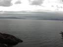 ./images/koeye/fitz-hugh/20160624/fitz-hugh20160624_122402.jpg