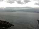 ./images/koeye/fitz-hugh/20160624/fitz-hugh20160624_122702.jpg