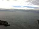 ./images/koeye/fitz-hugh/20160624/fitz-hugh20160624_140003.jpg
